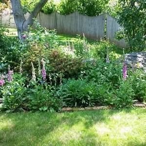 Meet your Posher, Jacki